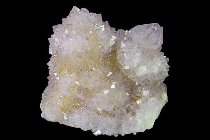 Cactus Quartz (Amethyst) Crystal Cluster - South Africa #137754